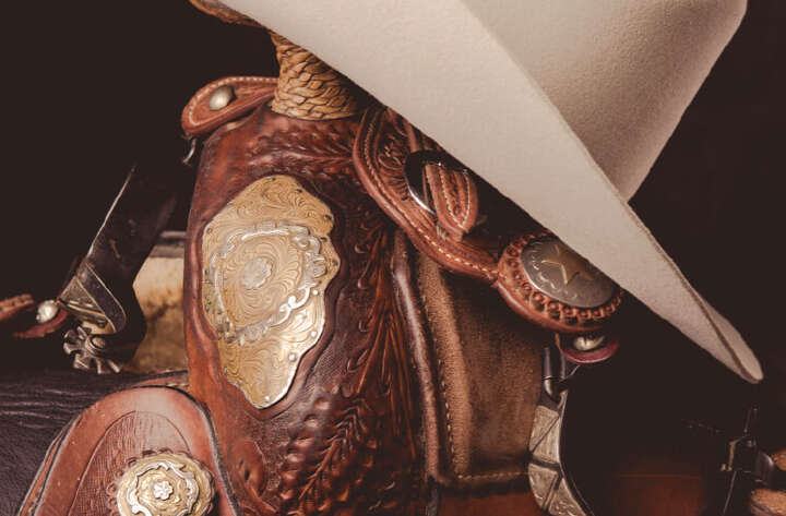 teaserbild hoeveler western natur natuerlich einstiegsbanner pferdefutter pferd ergaenzungsfutter supplemente m